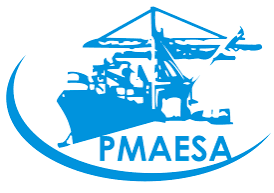 Pmaesa Logo logo